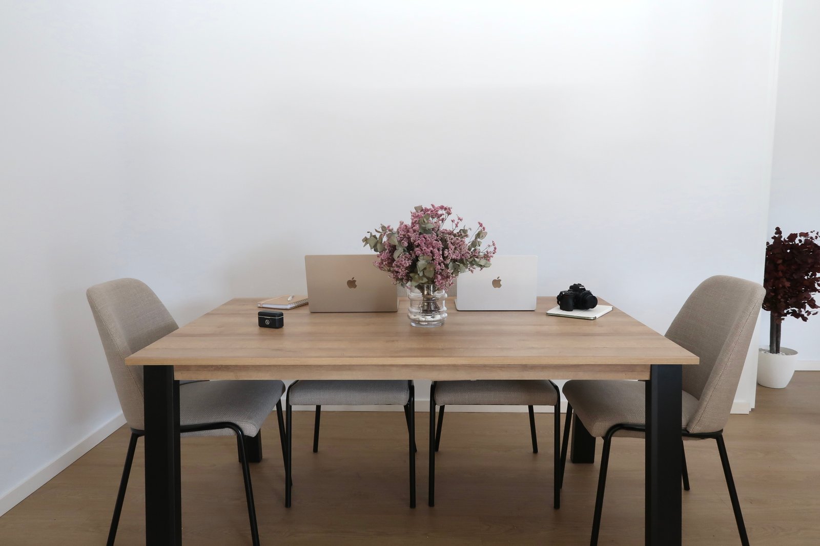 Visual editorial de Dalia&Co