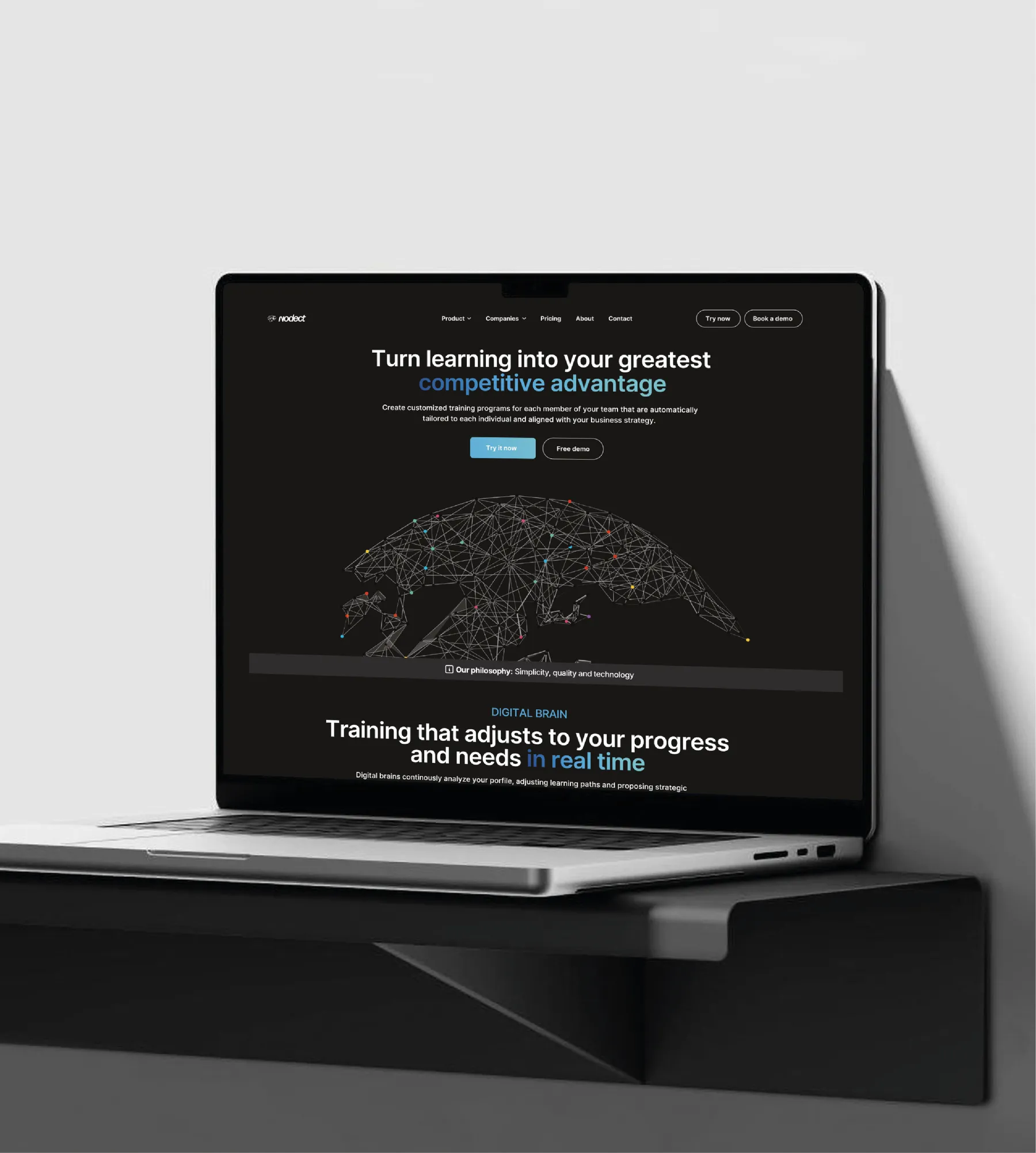 Disseny web